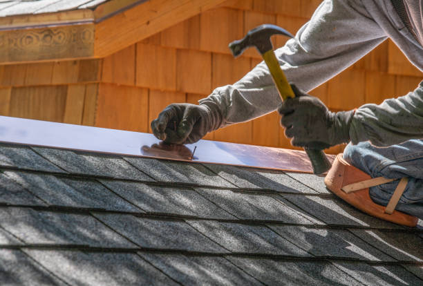 Best Steel Roofing  in Hanamaulu, HI